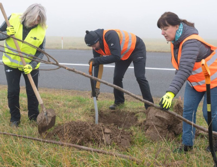 Zaměstnanci Zlínského kraje a firmy Continental Barum vysadili novou alej u Velkého Ořechova