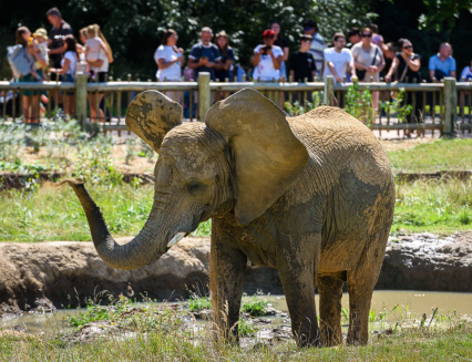 V září a říjnu do Zoo Zlín za stovku
