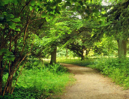 Kraj podpořil 3 miliony vznik nového arboreta ve Vizovicích