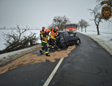 Řidič porazil autem strom