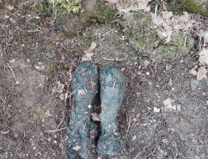 Výbušný nález. Do akce byli přivoláni pyrotechnici 