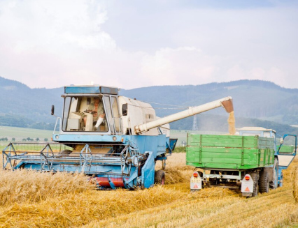 Kraj opět finančně podpoří regionální zemědělskou produkci