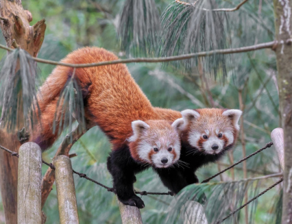 Jarní prázdniny v Zoo Zlín