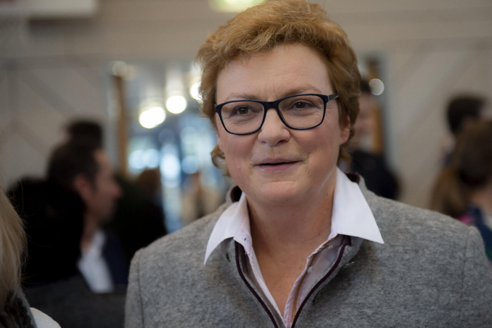 Europoslanci se pustí do Babiše. Kvůli střetu zájmů i Čapímu hnízdu