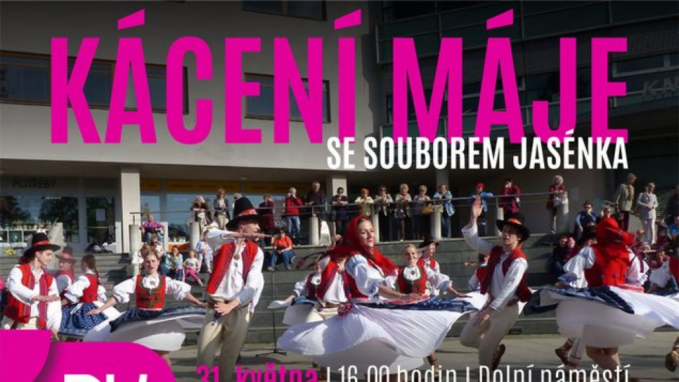 Vsetínskou májku postavil souborVsacan, podetne ji Jasénka
