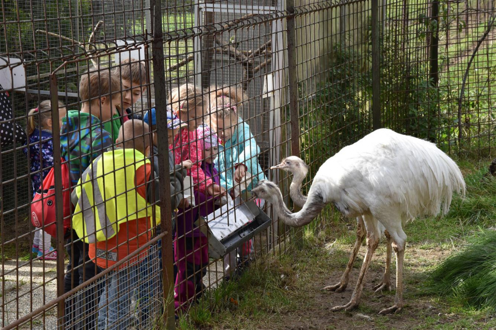 Kam tento týden v regionu: Svatý Václav v Napajedlích, ZOO slaví 70 let, jablka na Soláni