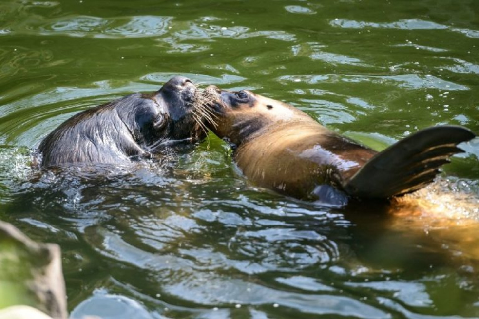 Zlínskou zoo loni navštívilo skoro 650 tisíc lidí