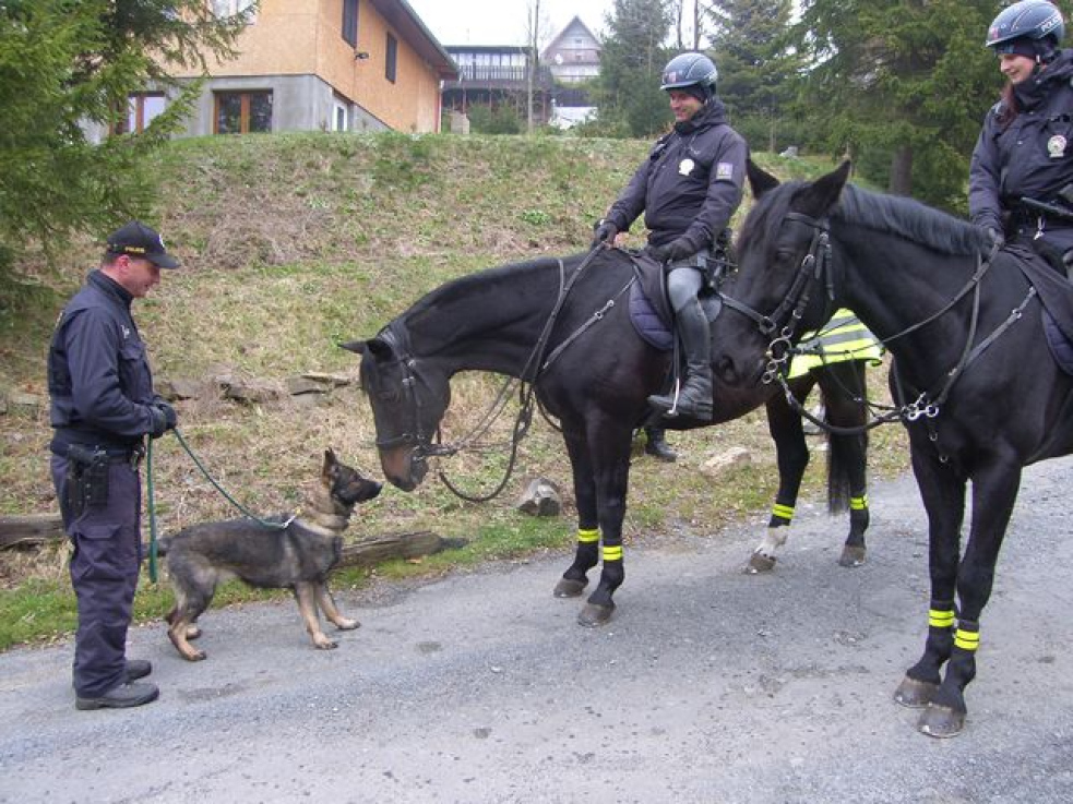 Chaty a rekreační objekty kontrolují policisté na koních i psovodi