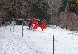 Hasici urazy v lese2