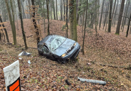 Zlin auto mezi stromy