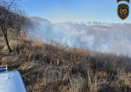 Zlinj hasici u lesa 1