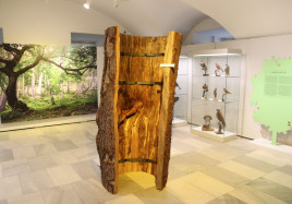 Vsetin Muzeum zve na vystavu o lesich na Valassku 4