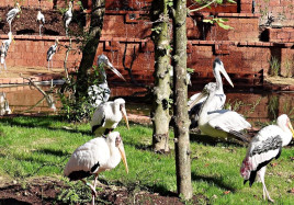 Zlin zoo otevre expozici