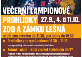 Zlin lampiony plakat
